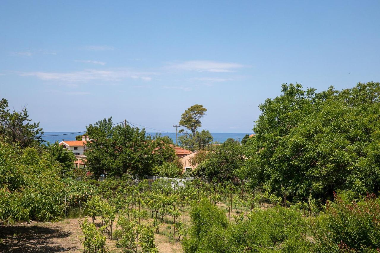 Irini Apartments And Studios Agios Gordios  Exteriér fotografie